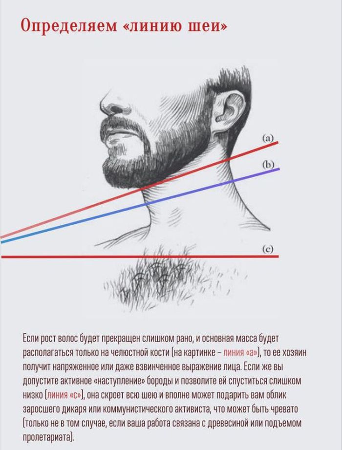 Как правильно отращивать бороду