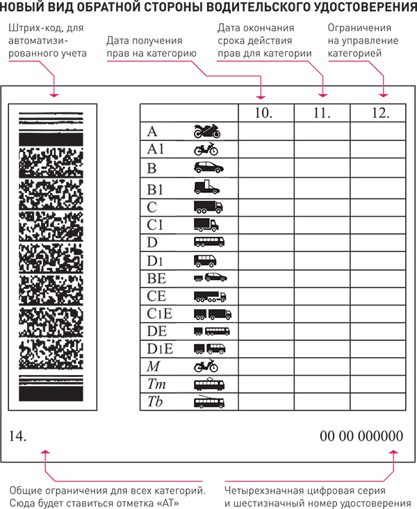 Водительские права поменяли свой внешний вид